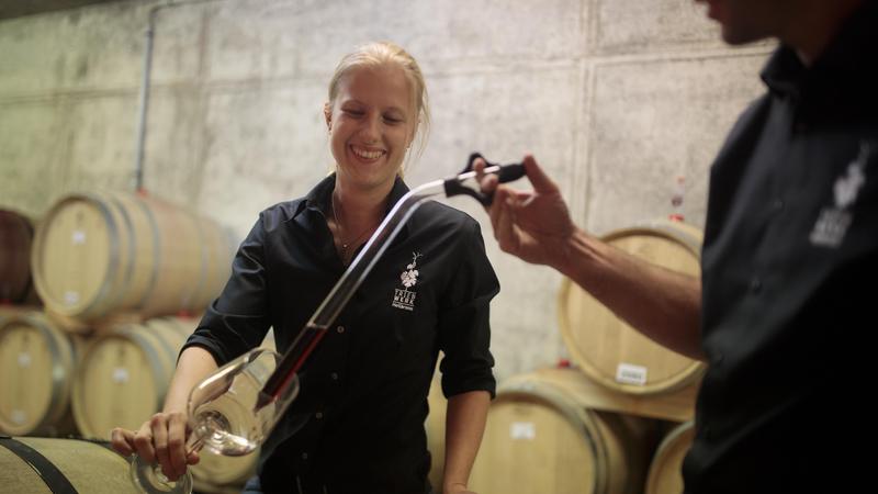 Ausbildung zum/zur Weintechnologe/in