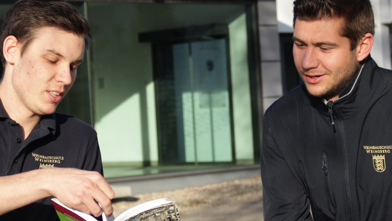 Fortbildung zum Techniker/in für Weinbau und Oenologie