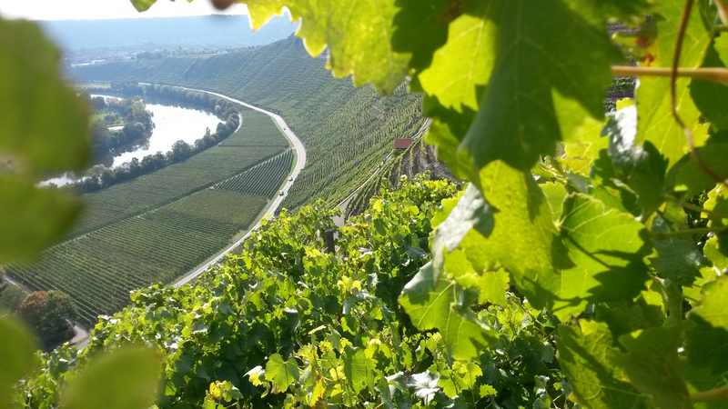 Mittleres Neckartal & Bottwartal